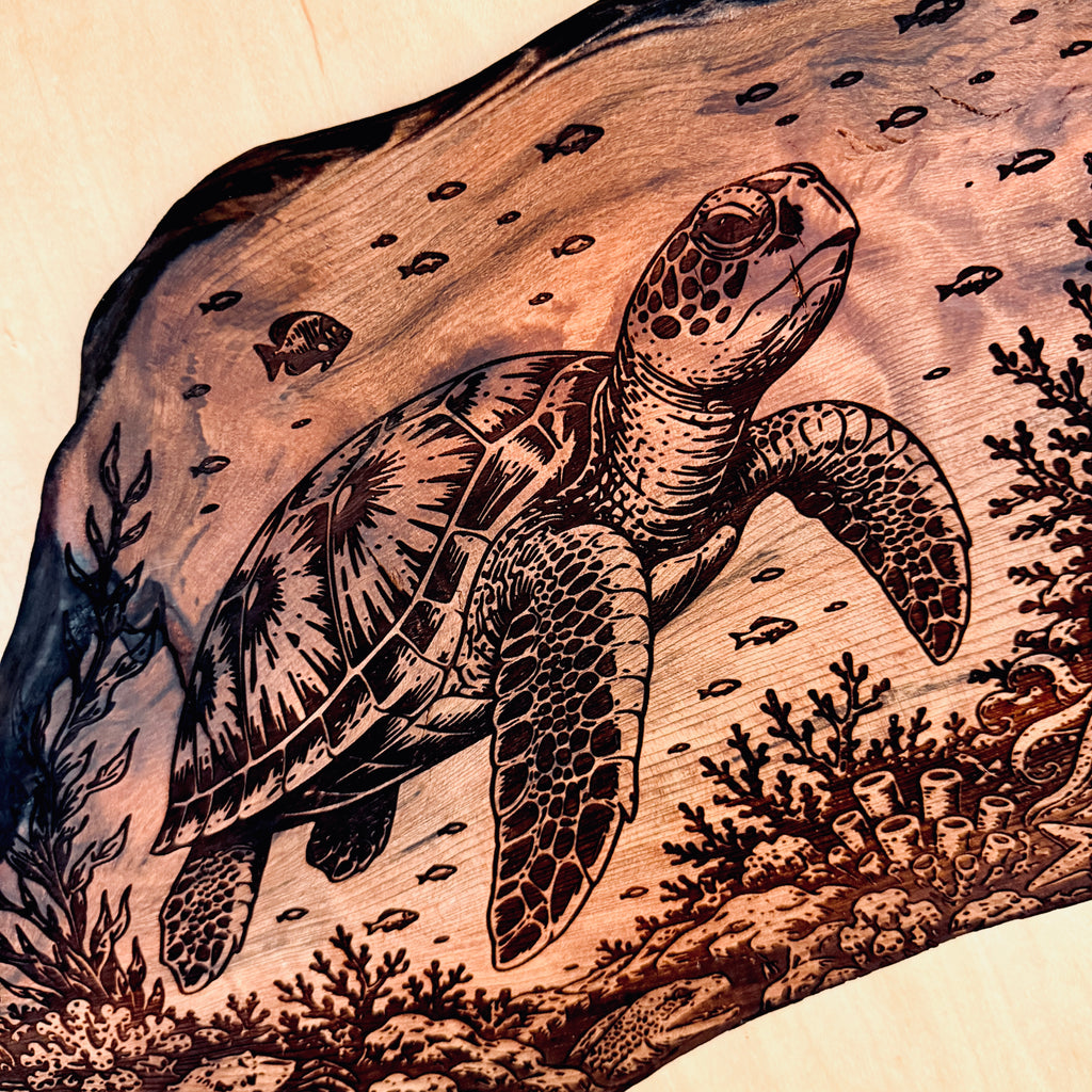 Turtle Reef
