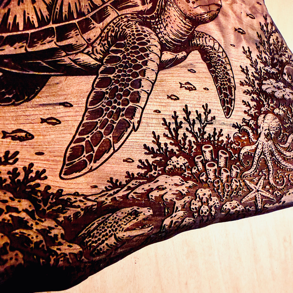 Turtle Reef